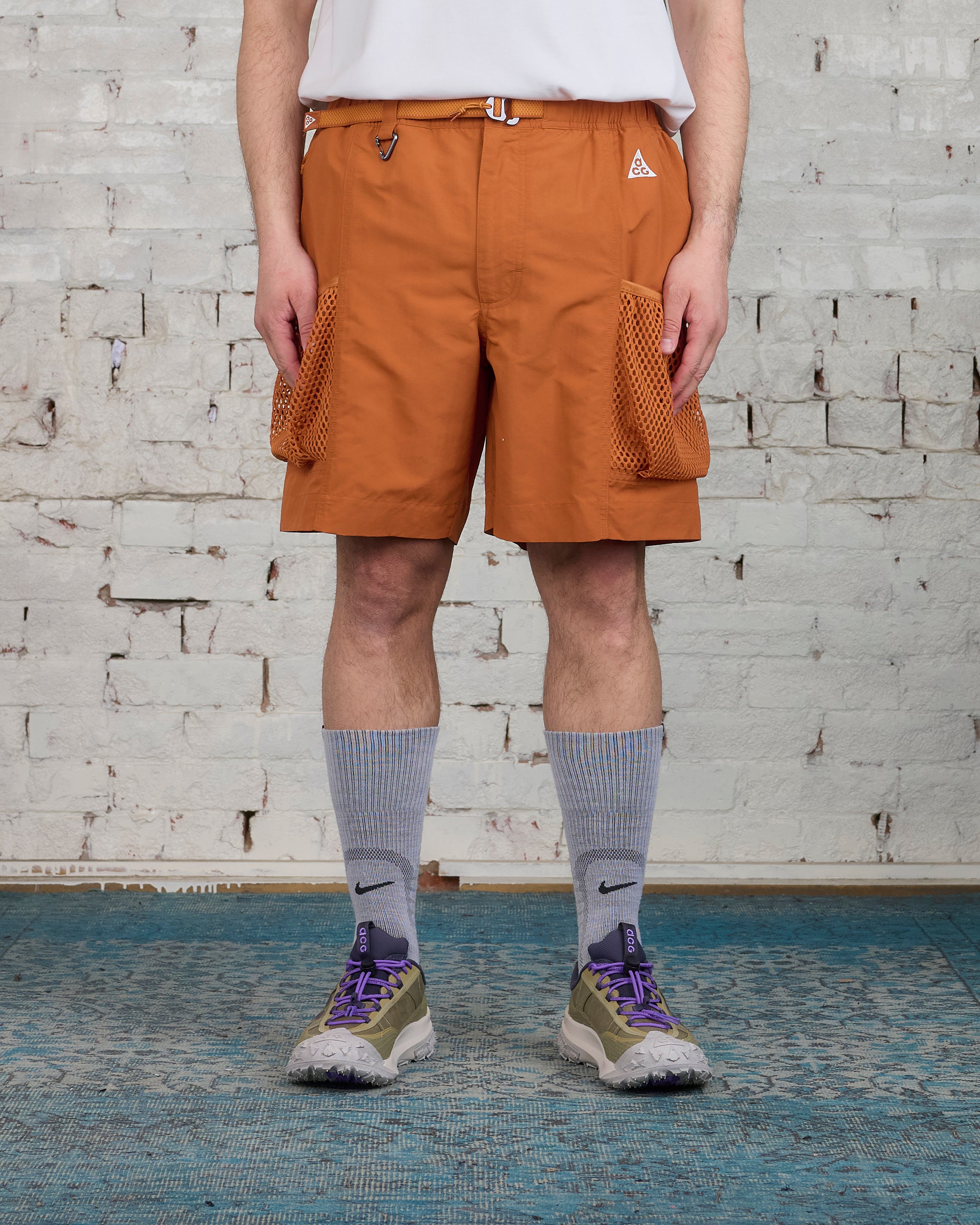 Nike acg 2024 cargo shorts