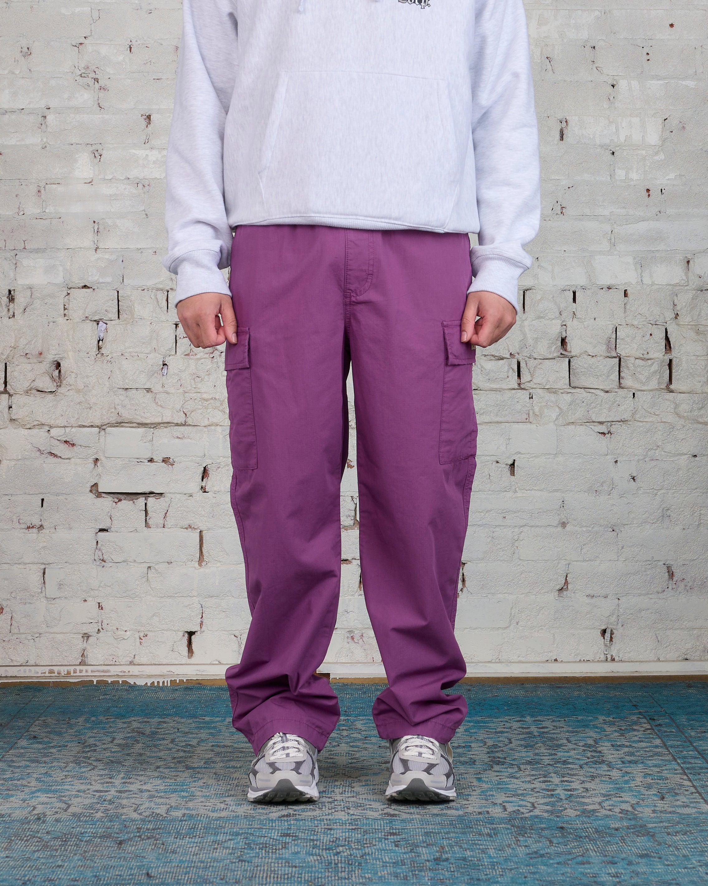 ファッションStussy Ripstop Cargo Beach Pant purple S