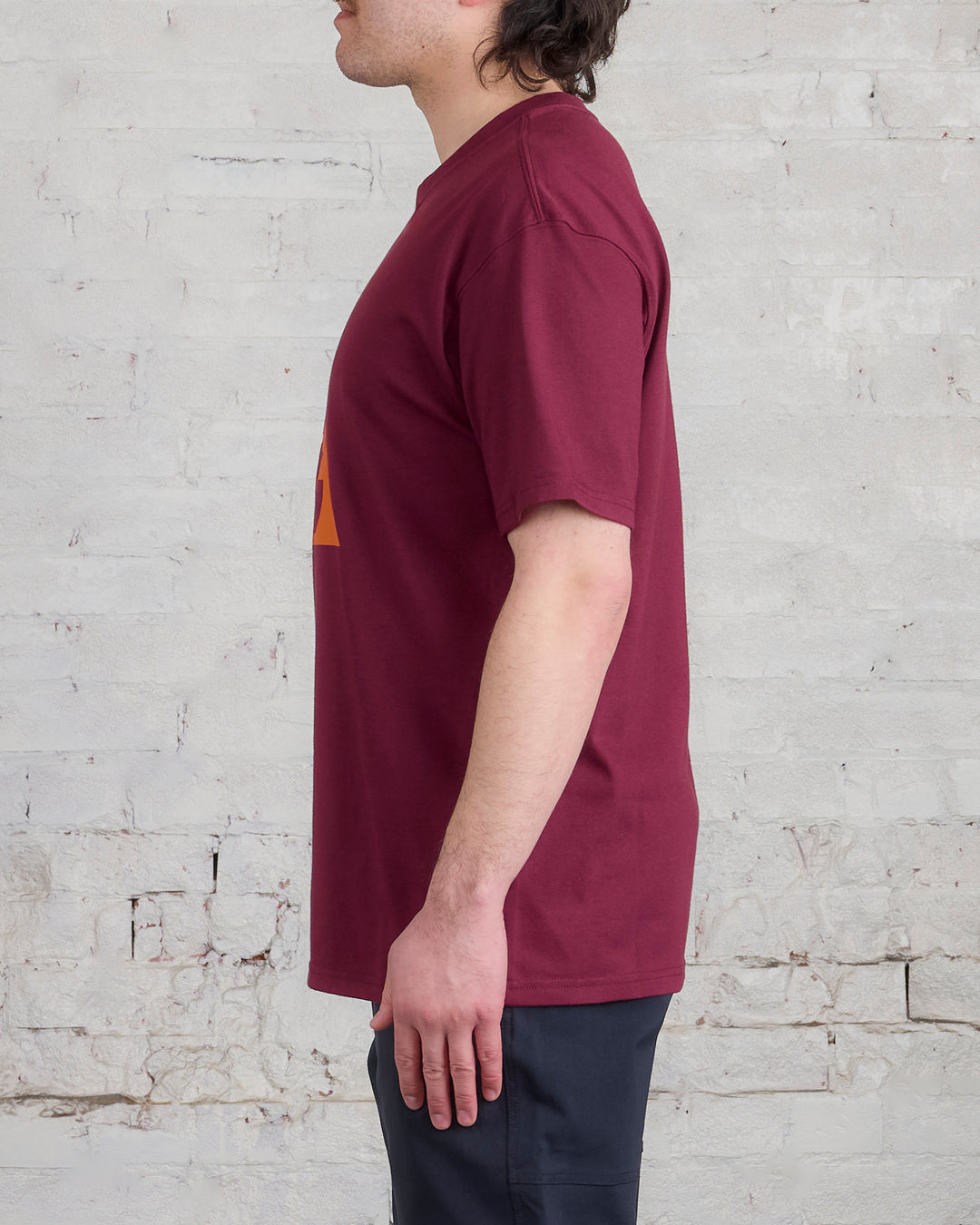 Nike ACG HBR Logo Short-Sleeve T-Shirt Night Maroon