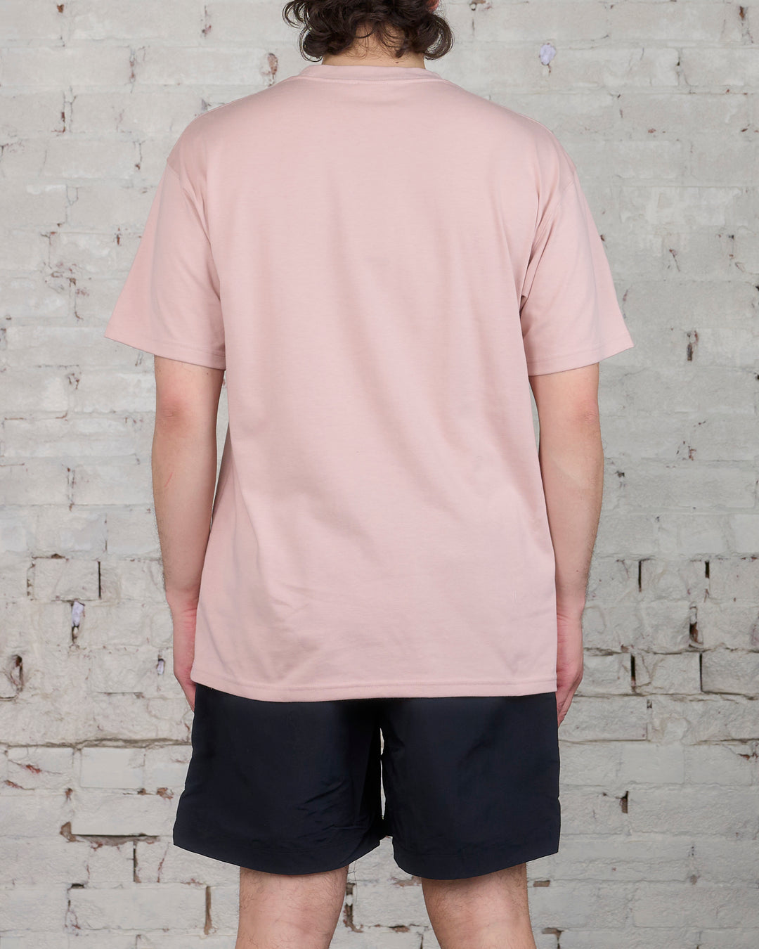 Nike ACG Lungs T-Shirt Pink Oxford