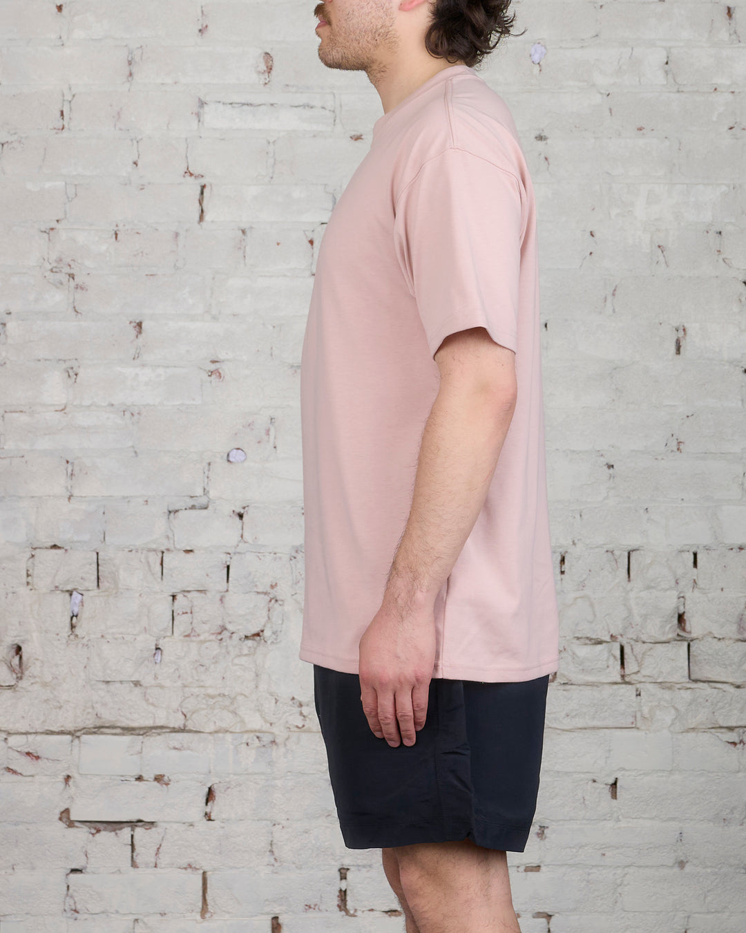 Nike ACG Lungs T-Shirt Pink Oxford