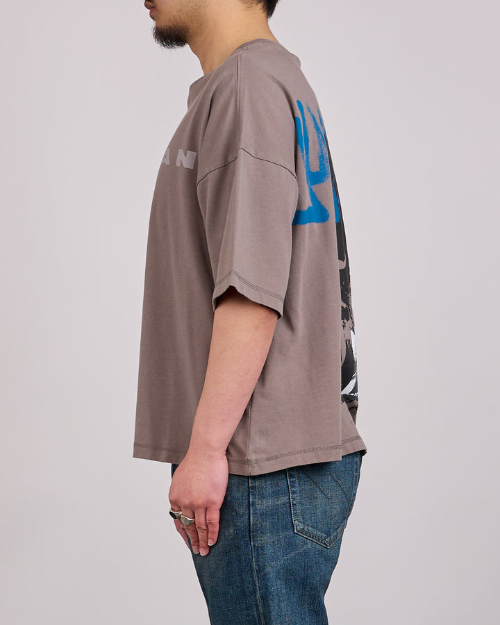 Nike Air Jordan IH Above T-Shirt Cave Stone