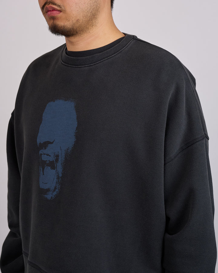 Nike Air Jordan IH Cropped Fleece Crew-Neck Sweatshirt