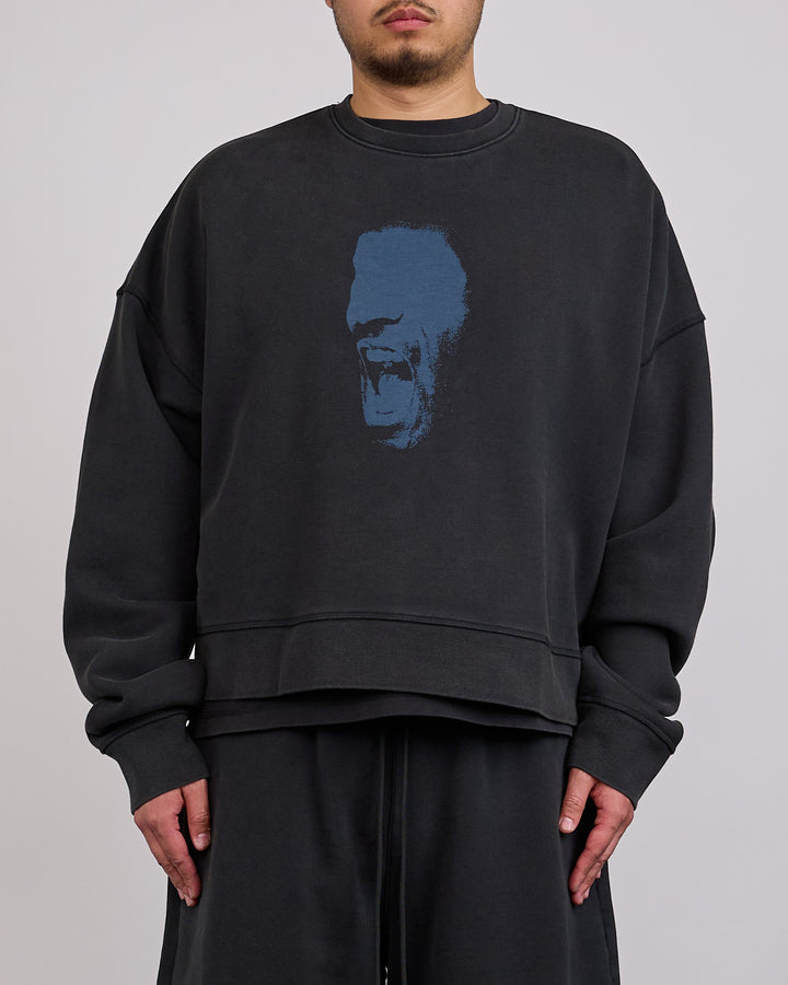 Nike Air Jordan IH Cropped Fleece Crew-Neck Sweatshirt