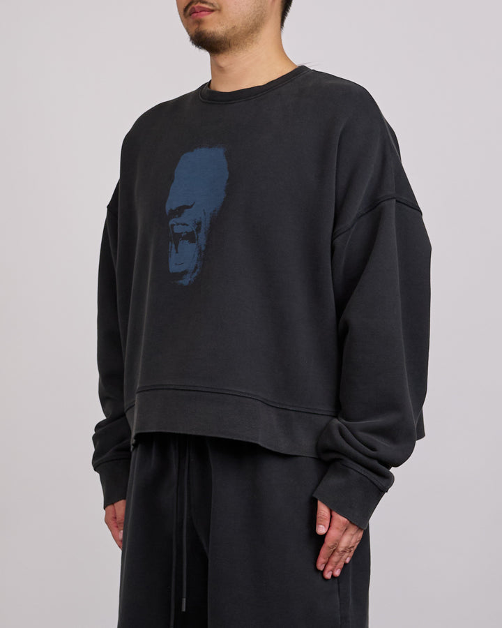 Nike Air Jordan IH Cropped Fleece Crew-Neck Sweatshirt
