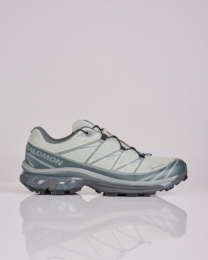 Salomon Advanced XT-6 GTX Iron Ubnchi