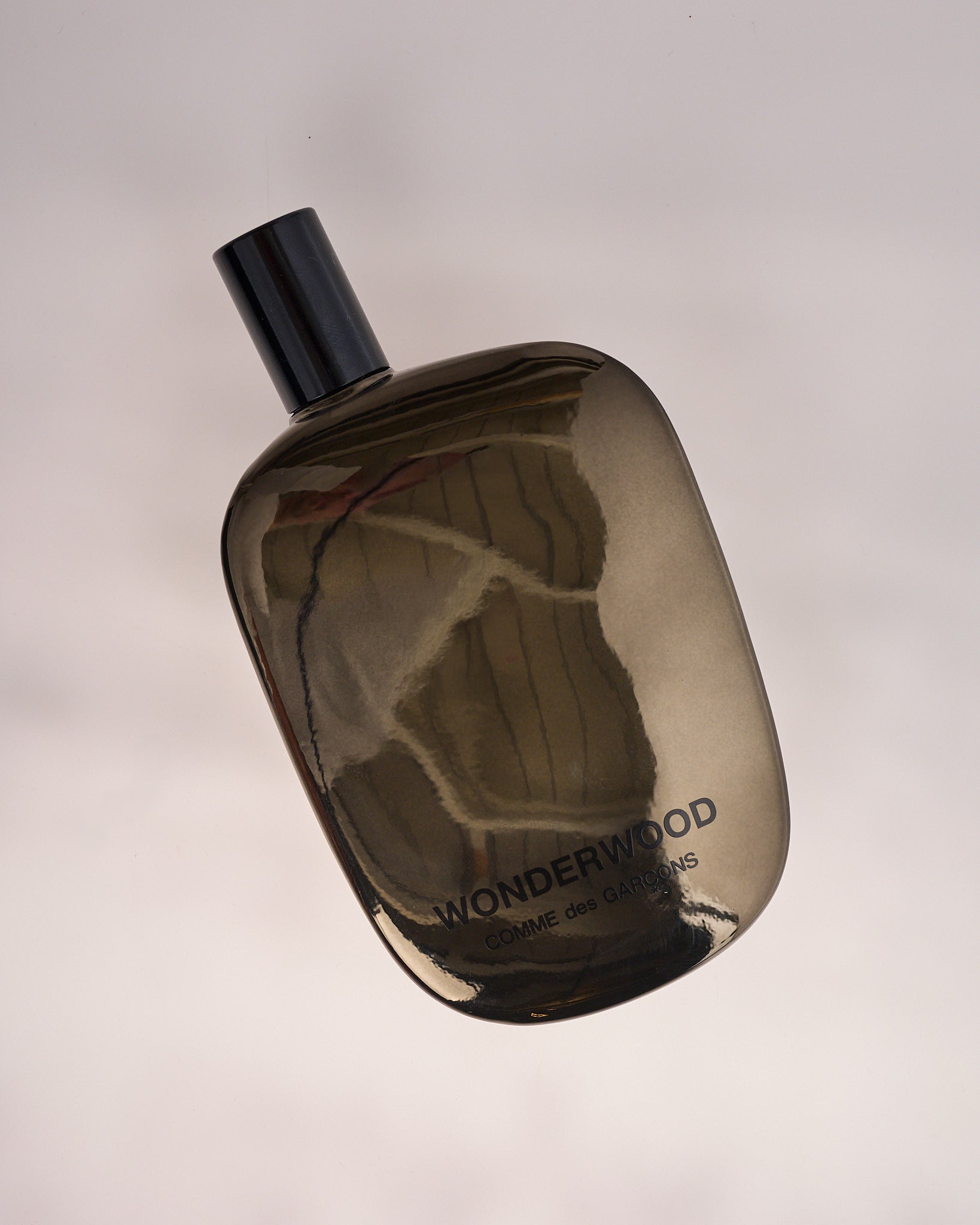 Comme des Garçons Parfum Wonderwood 100ml Spray – LESS 17