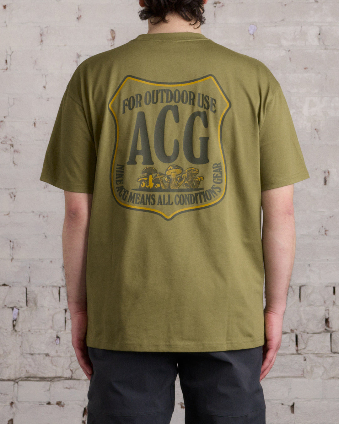 Nike ACG Badge T-Shirt Pilgrim